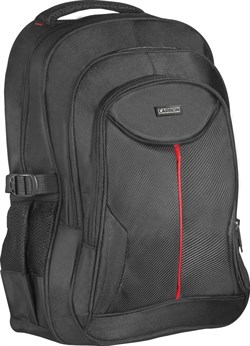(1013596) Рюкзак для ноутбука Defender Carbon 15.6" черный, органайзер - фото 21279
