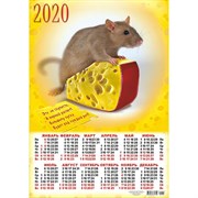 (1017947) Календарь листовой А2 "Символ года - 2020 - 9"   4341269
