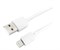 (1012013) Кабель USB Гарнизон AM/Lightning, для iPhone5/6/7/8/X, IPod, IPad, 0.5м, белый, пакет - фото 20122