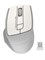 (1019595) Мышь A4 Fstyler FG30 белый/серый оптическая (2000dpi) беспроводная USB (6but) - фото 33382