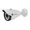 (1010413) Видеокамера IP ActiveCam AC-D2101IR3 2.8-2.8мм цветная корп.:белый - фото 6468